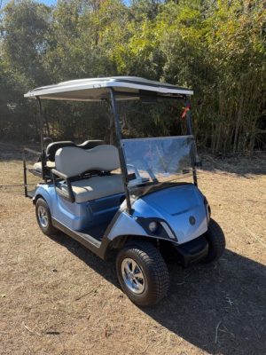 2018 Yamaha 48V 4 seater Stock- Porshe Blue # 5119