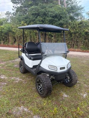 Club Car 100 ah lithium-White #5809